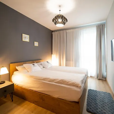 3d Spring Krakow